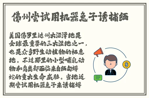亚洲无线一线二线三W9